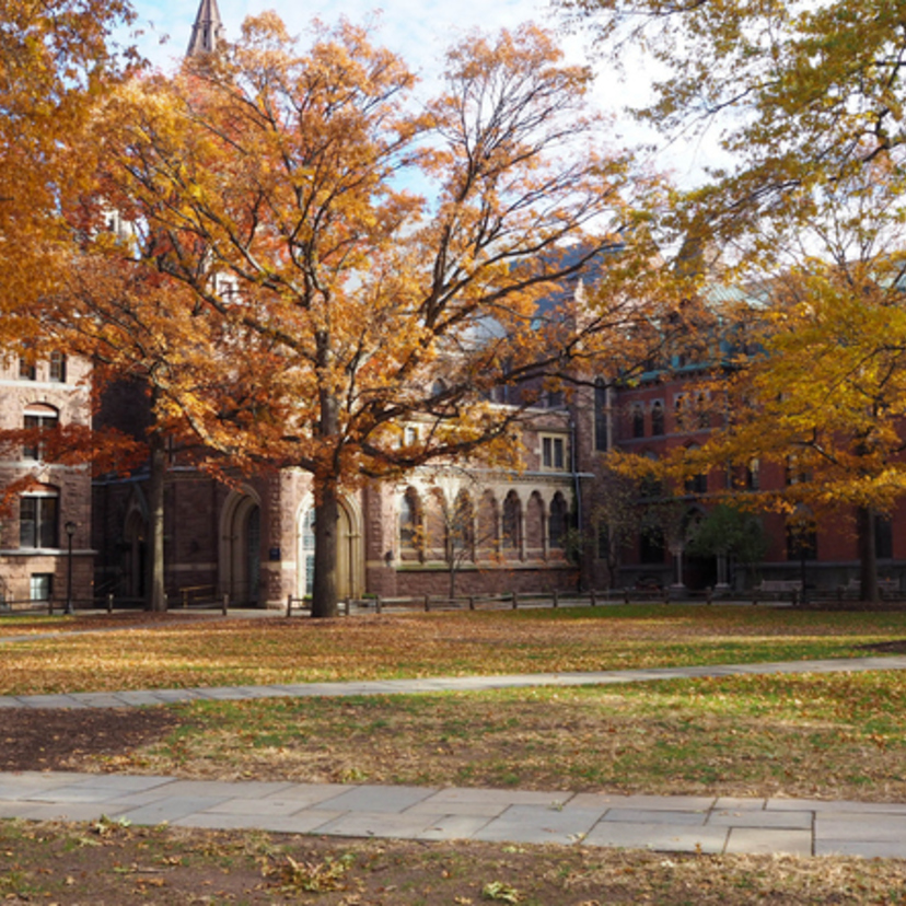 アイビーリーグ合格の秘密